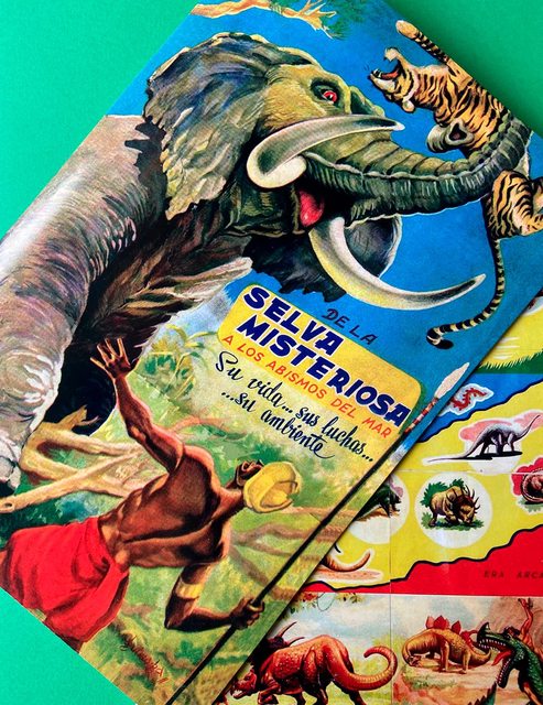 SELVA MISTERIOSA: Álbum Completo A Pegar