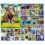 El Asombroso Mundo de los Animales: Álbum Completo A Pegar